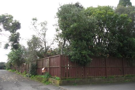 Photo of property in 117 Cambridge Road, Hillcrest, Hamilton, 3216