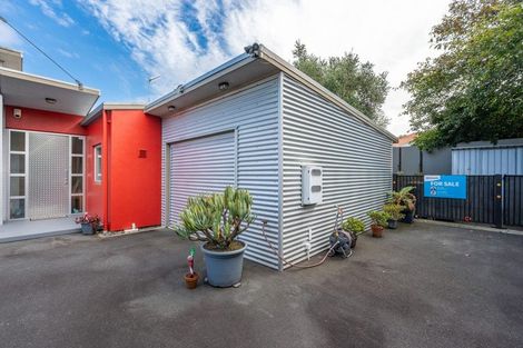Photo of property in 156 Rimu Street, Maeroa, Hamilton, 3200