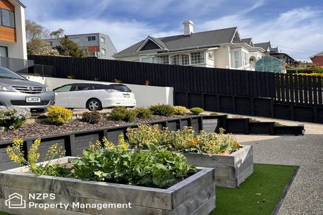 Photo of property in 45b Ann Street, Kaikorai, Dunedin, 9010