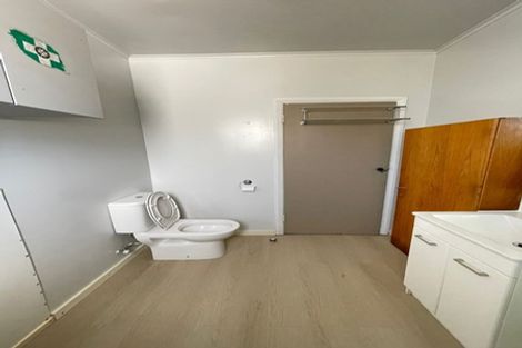 Photo of property in 86 Nikau Street, New Lynn, Auckland, 0600