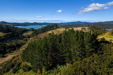 Photo of property in 93 Ranui Road, Karetu, 0283