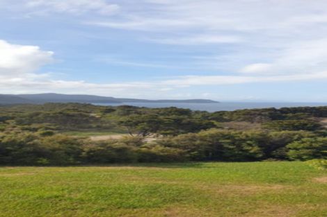 Photo of property in 890 Tuateawa Road, Waikawau, Coromandel, 3584