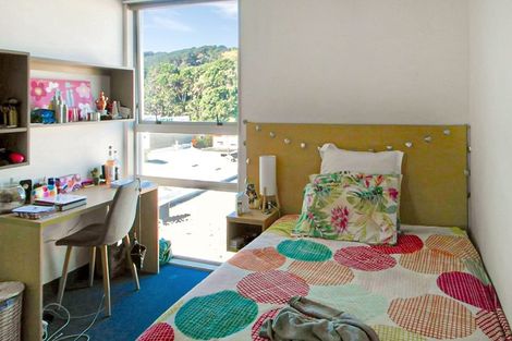 Photo of property in Hanson House, 11a/27 Hanson Street, Mount Cook, Wellington, 6021