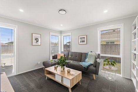 Photo of property in 24 Feltham Street, Richmond, 7020