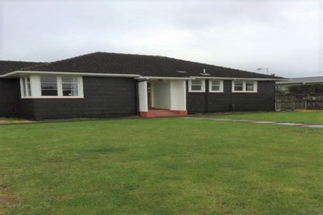 Photo of property in 39 Middlesex Street, Levin, 5510