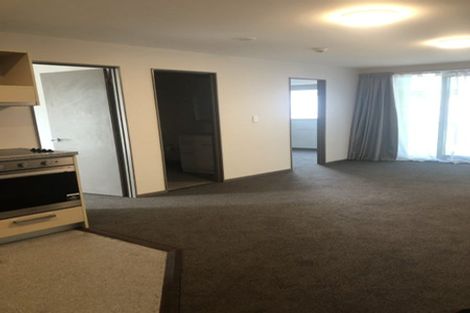 Photo of property in Dual Apartments, 301/142u Vivian Street, Te Aro, Wellington, 6011