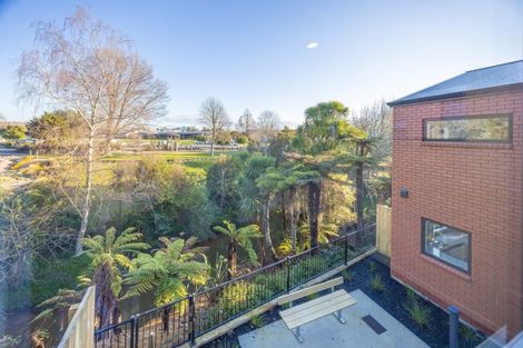 Photo of property in 161 Ohaupo Road, Te Awamutu, 3800