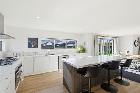 Photo of property in 16 Bonecrusher Street, Lincoln, 7608