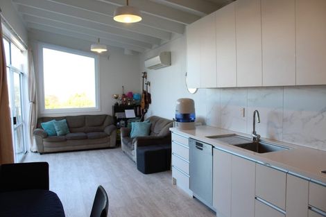Photo of property in 51 Arthur Street, Dunedin Central, Dunedin, 9016