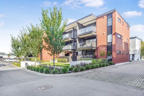 Photo of property in 11/182u London Street, Hamilton Central, Hamilton, 3204