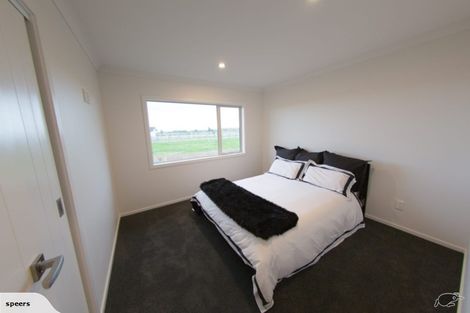 Photo of property in 19 Clare Court, Feilding, 4777