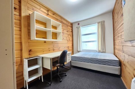 Photo of property in Drummond Street Flats, 19u1 Drummond Street, Mount Cook, Wellington, 6021