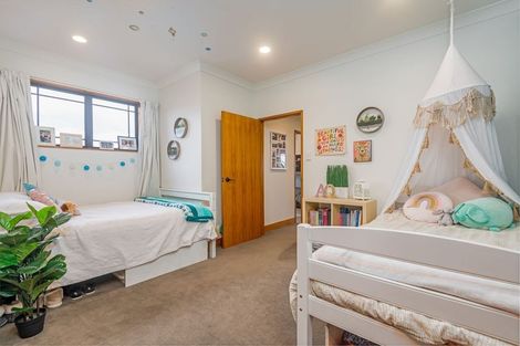 Photo of property in 23 Balmoral Drive, Terrace End, Palmerston North, 4410