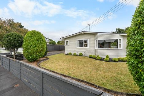 Photo of property in 41 Fitzroy Avenue, Fitzroy, Hamilton, 3206