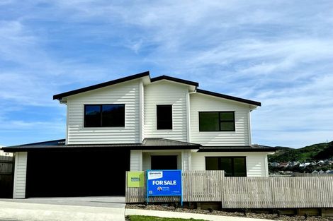 Photo of property in 50 Farnworth Terrace, Glenside, Wellington, 6037