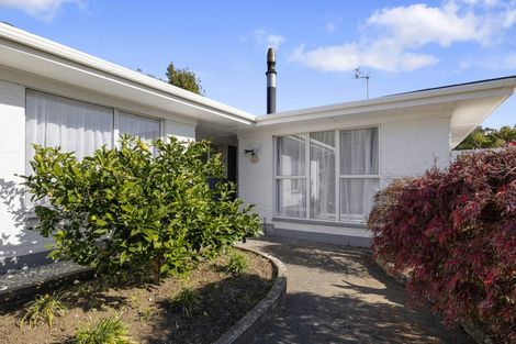 Photo of property in 41 Maratahu Street, Westown, New Plymouth, 4310
