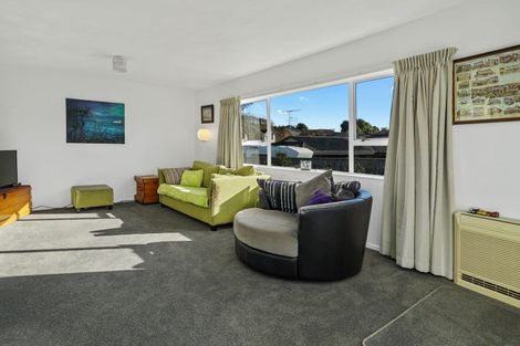 Photo of property in 11 Ledger Close, Richmond, 7020