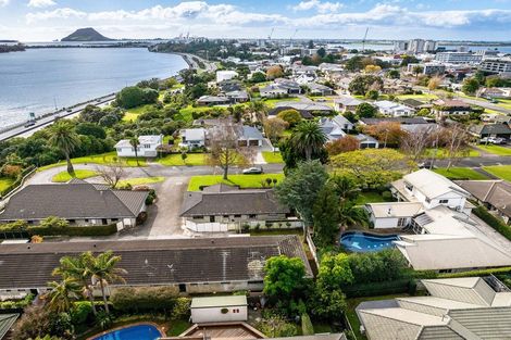 Photo of property in 86 Seventh Avenue, Tauranga, 3110