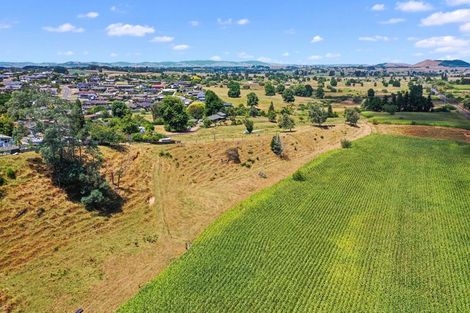 Photo of property in 540 Wallace Terrace, Te Awamutu, 3800