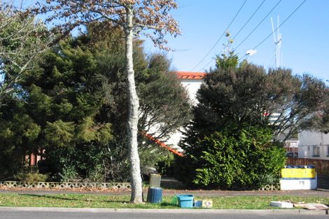 Photo of property in 79b Firth Street, Hamilton East, Hamilton, 3216