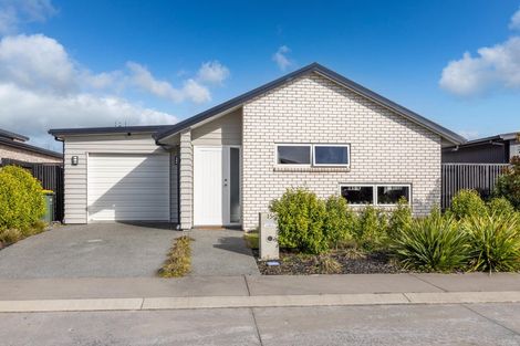 Photo of property in 15 Naismith Street, Chartwell, Hamilton, 3210