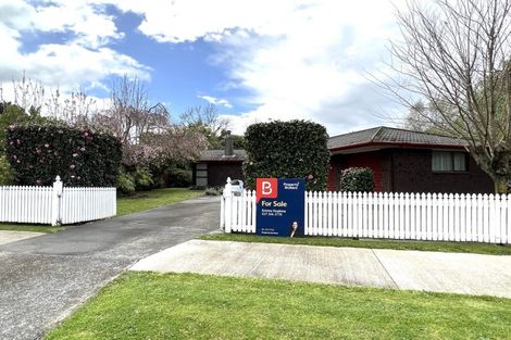 Photo of property in 138 Winchester Street, Ashhurst, 4810