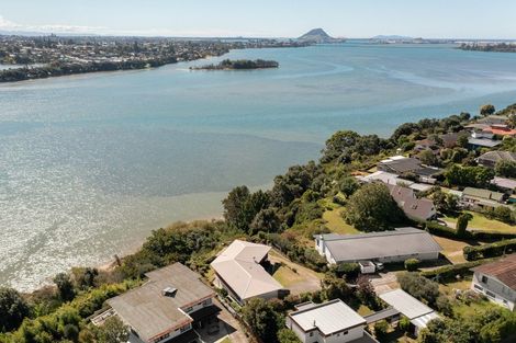 Photo of property in 63 Ririnui Place, Maungatapu, Tauranga, 3112