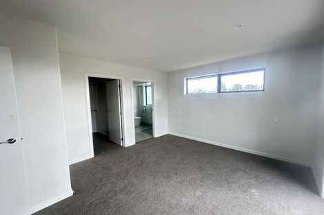 Photo of property in 12 Celeste Terrace, Peacocke, 3206