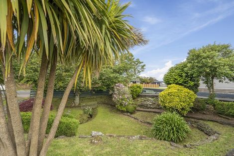 Photo of property in 131 Brecon Road, Stratford, 4332