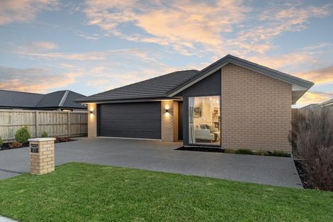Photo of property in 21 Chambers Avenue, Woodend, 7610