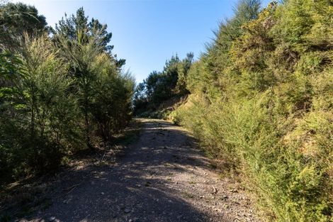 Photo of property in 93 Ranui Road, Karetu, 0283