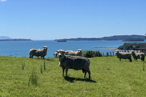 Photo of property in 599 Mahurangi East Road, Algies Bay, Warkworth, 0920