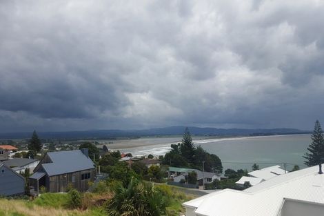 Photo of property in 113 Town Point Road, Maketu, 3189