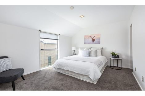 Photo of property in 496b Barbadoes Street, Edgeware, Christchurch, 8013