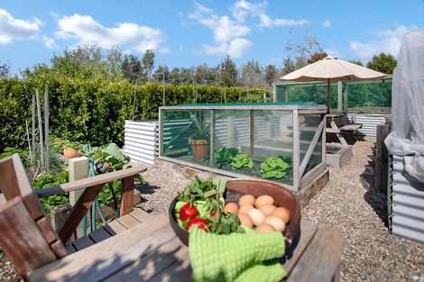 Photo of property in 41 Retreat Road, Haruru, 0204