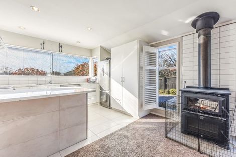 Photo of property in 27 Arbor-lea Avenue, Richmond, 7020