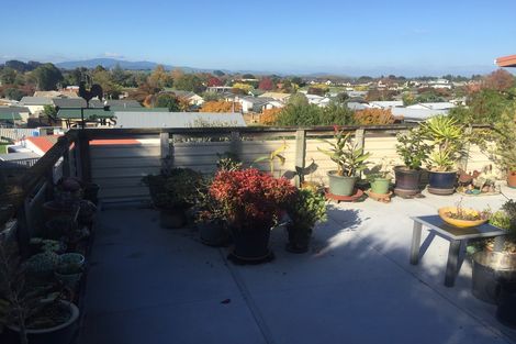 Photo of property in 162 Raikes Avenue, Te Awamutu, 3800