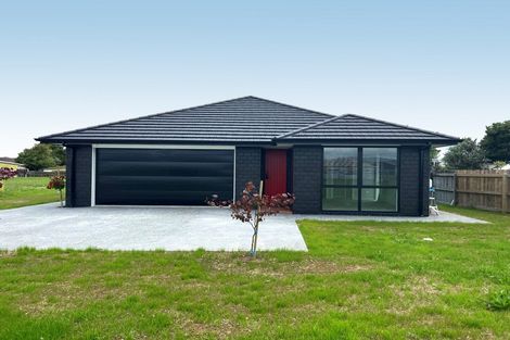 Photo of property in 10 Sanson Place, Levin, 5510