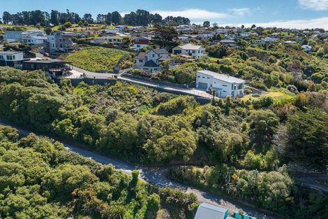 Photo of property in 2l Clayton Street, Saint Clair, Dunedin, 9012