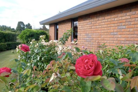 Photo of property in 275 Homestead Road, Weston, Oamaru, 9491