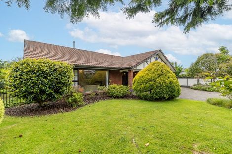 Photo of property in 19 Ellerslie Avenue, Chartwell, Hamilton, 3210