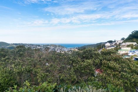 Photo of property in 5 Mana Street, Vogeltown, Wellington, 6021