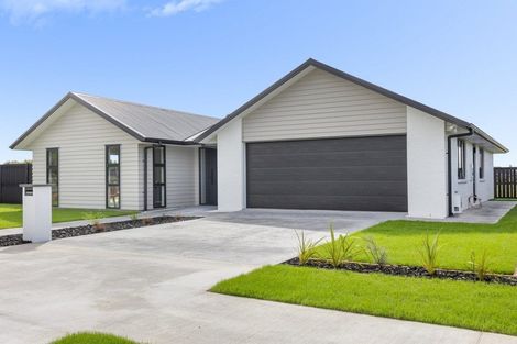 Photo of property in 30 Whakahaumako Road, Leamington, 3495