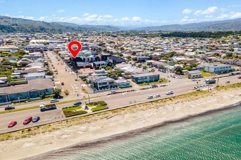 Photo of property in 20a Tory Street, Petone, Lower Hutt, 5012