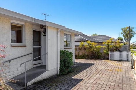 Photo of property in 3/23 Francis Street, Blenheim, 7201