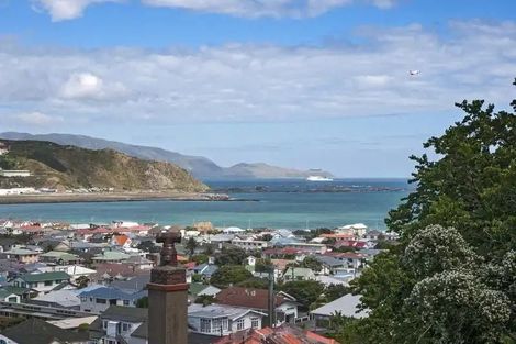 Photo of property in 11c Lerwick Terrace, Melrose, Wellington, 6023