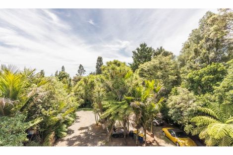 Photo of property in 215 Shaw Road, Titirangi, Auckland, 0604