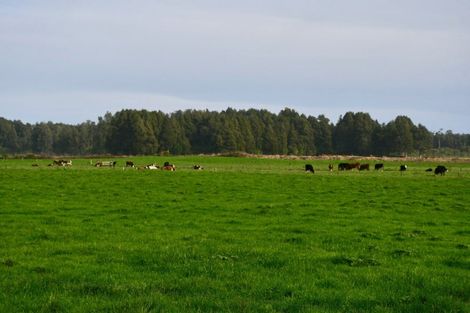 Photo of property in 106 Granite Creek Road, Karamea, 7893