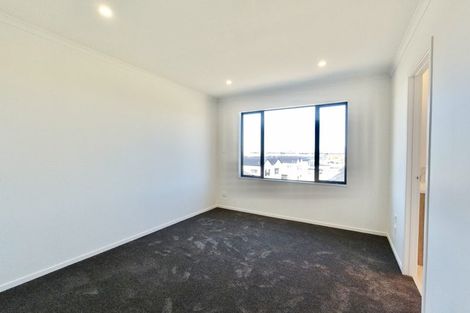 Photo of property in 181 Collingwood Street, Hamilton Lake, Hamilton, 3204