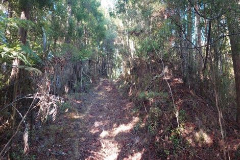 Photo of property in 651f Puketona Road, Haruru, 0204